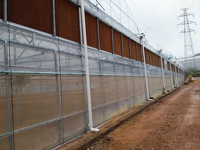 临沧地区日光温室大棚施工方案与温室工程施工要点