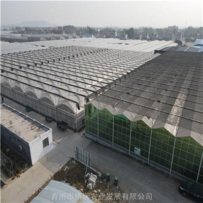 云南玻璃温室大棚产品推荐与工程施工全攻略