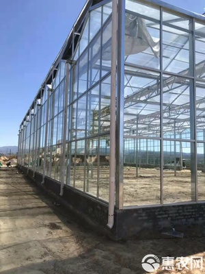 玻璃温室大棚建设 现代化温室工程的技术要点与施工流程