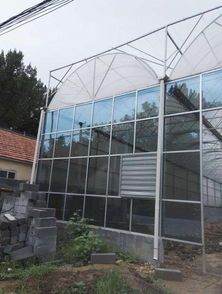 温室大棚变身新式农村宴会厅，经济实惠又美观的施工方案