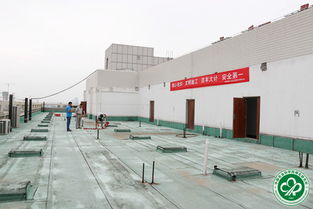 我所棉花生物学实验室温室建设项目正式开工建设，迈出科研基础设施升级关键一步