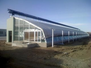 庄河市现代化温室工程综合建设 助力农业提质增效与产业升级